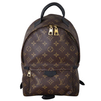 Louis Vuitton Palm Springs Backpack PM Monogram_IMG_5268.jpeg
