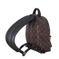 Louis Vuitton Palm Springs Backpack PM Monogram_IMG_5270.jpeg