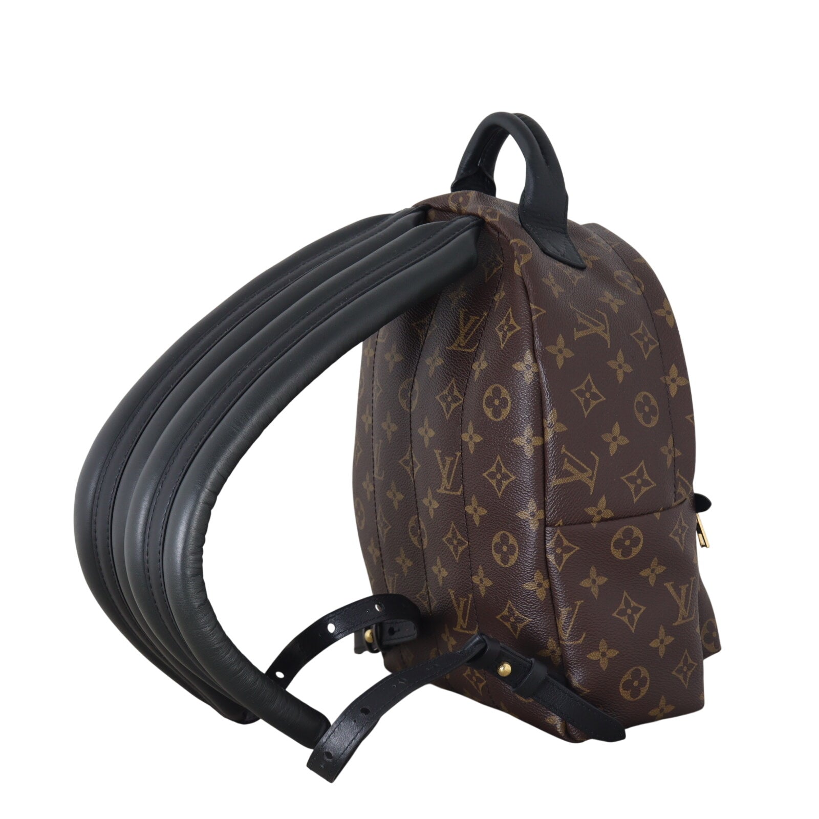 Louis Vuitton Palm Springs Backpack PM Monogram_IMG_5270.jpeg