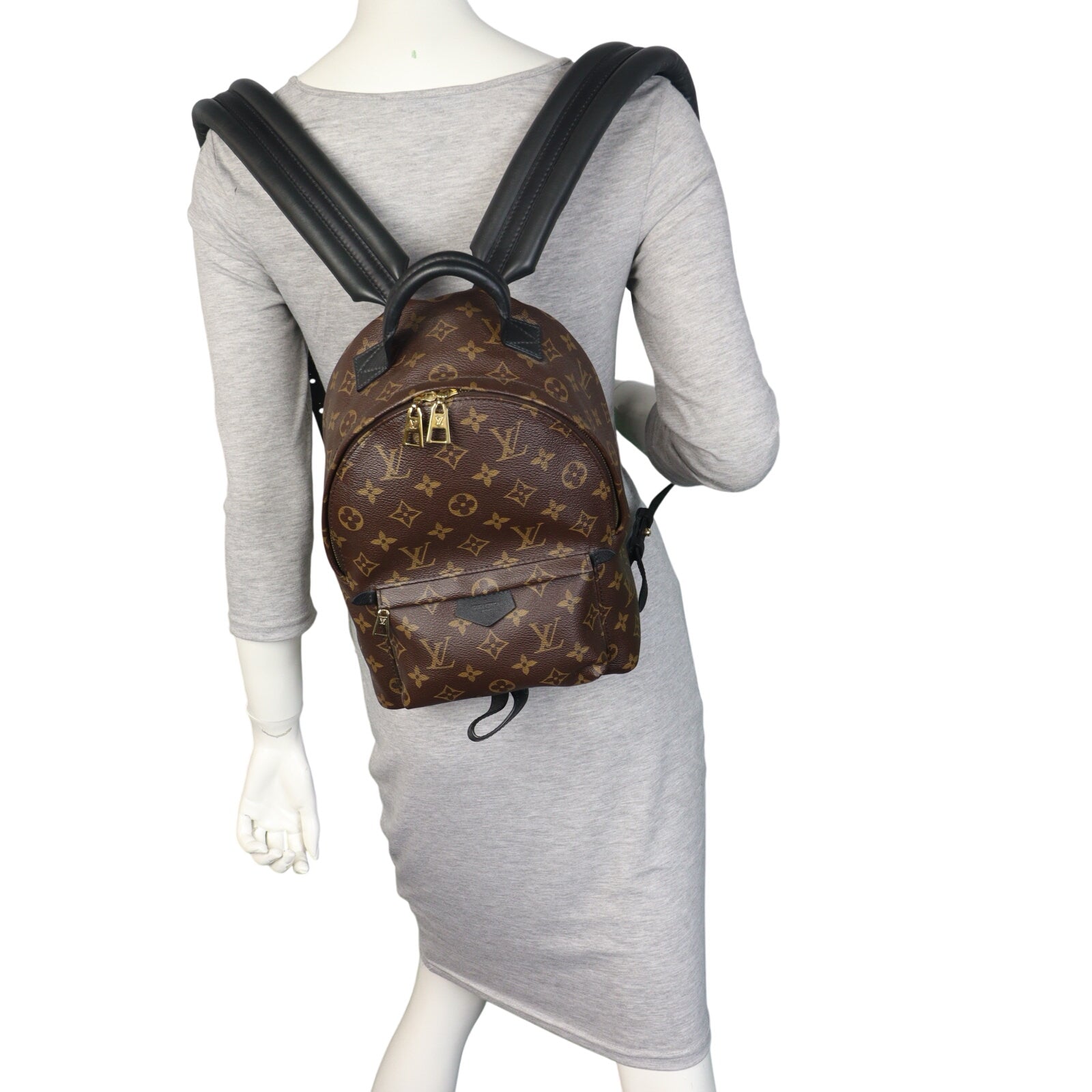 Louis Vuitton Palm Springs Backpack PM Monogram_IMG_5419.jpeg