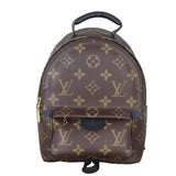 Louis Vuitton Palm Springs Mini Backpack Monogram_IMG_3229.jpeg