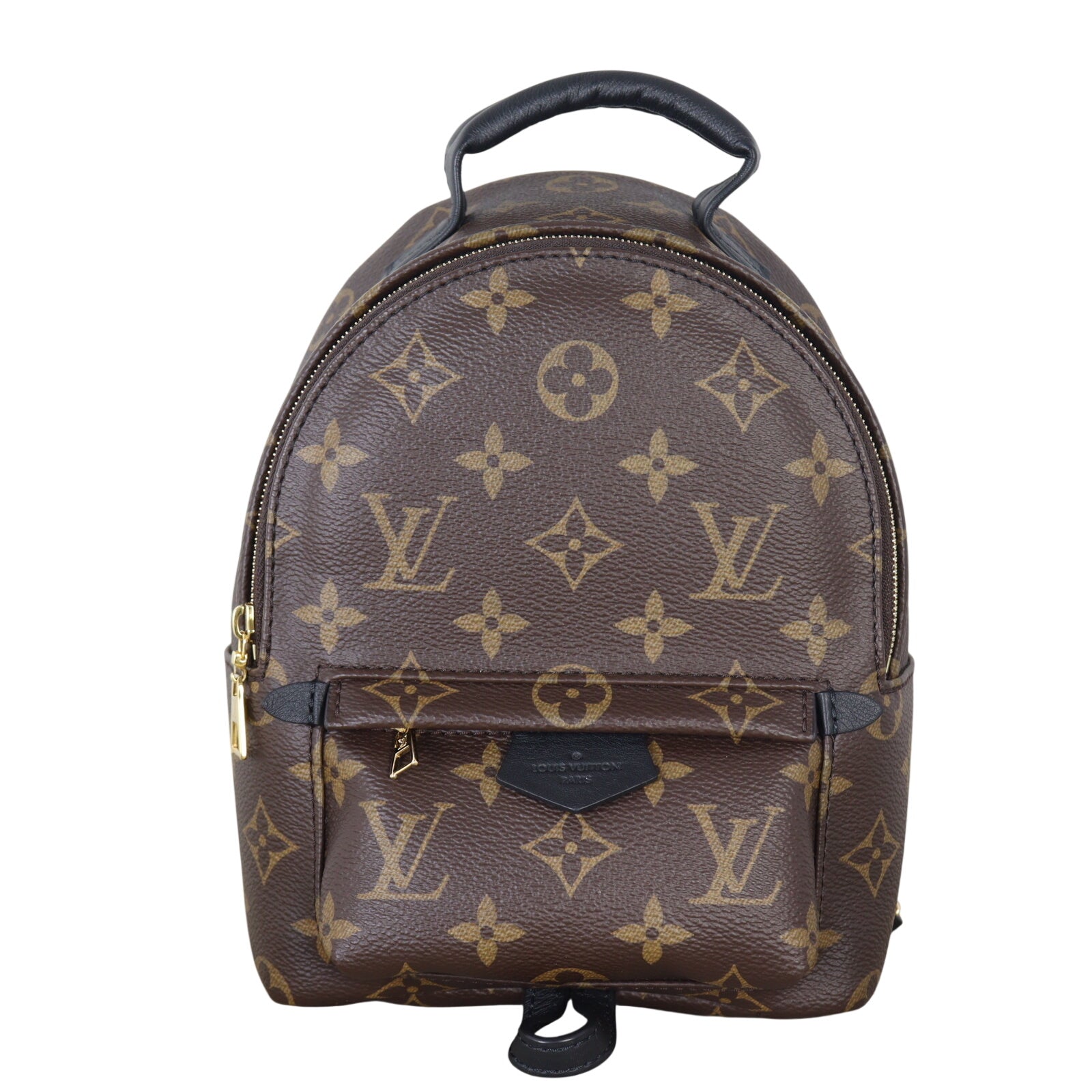 Louis Vuitton Palm Springs Mini Backpack Monogram_IMG_3229.jpeg