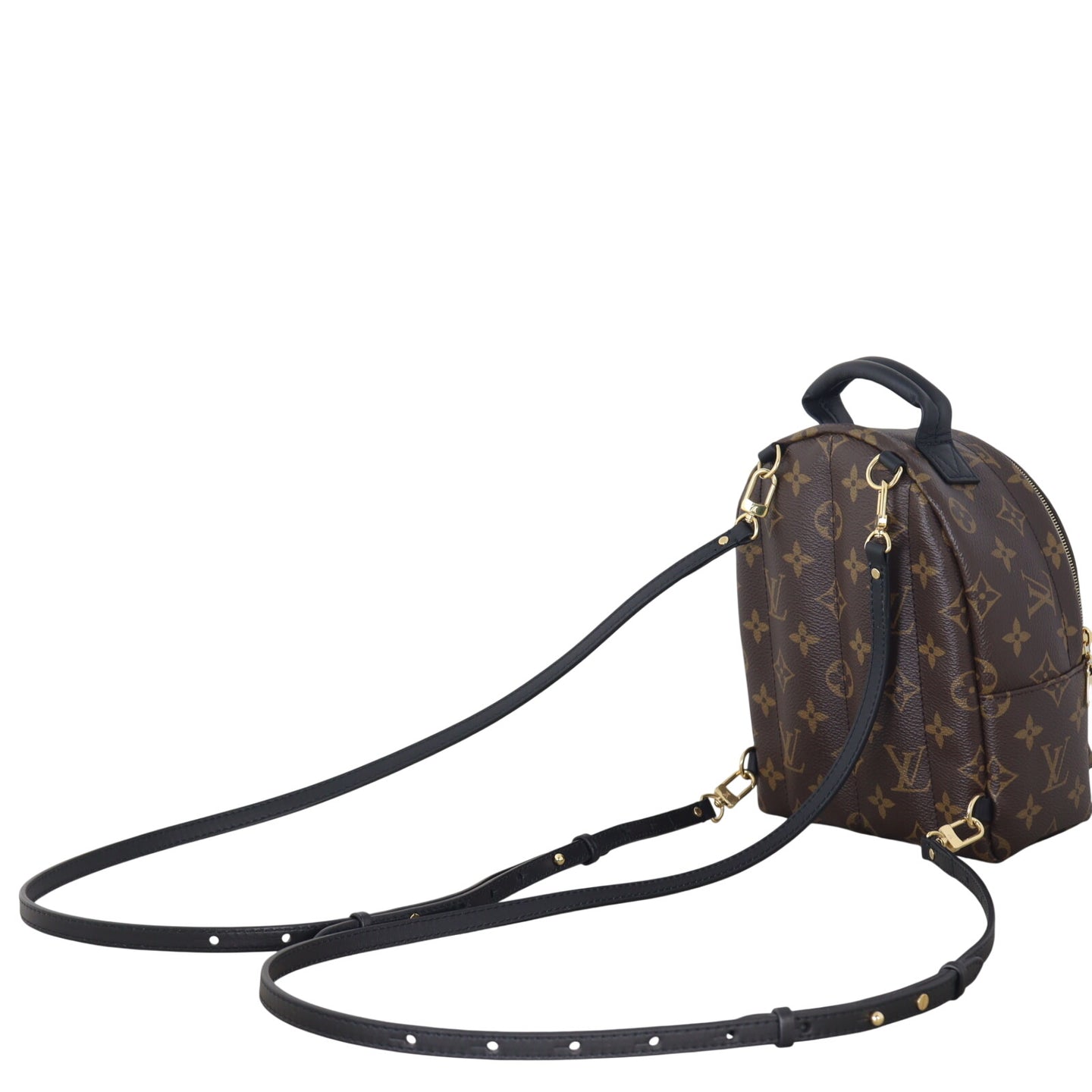 Louis Vuitton Palm Springs Mini Backpack Monogram_IMG_3231.jpeg
