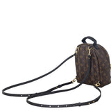 Louis Vuitton Palm Springs Mini Backpack Monogram_IMG_3231.jpeg