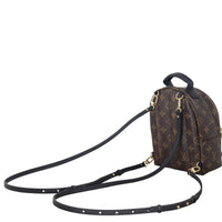 Louis Vuitton Palm Springs Mini Backpack Monogram_IMG_3231.jpeg