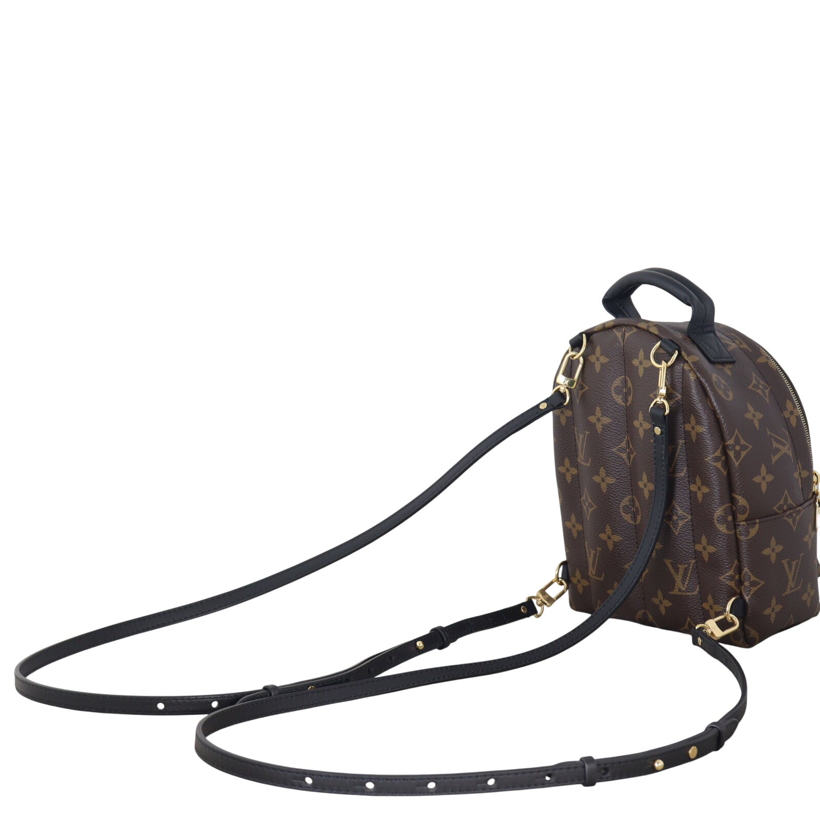 Louis Vuitton Palm Springs Mini Backpack Monogram_IMG_3231.jpeg