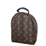 Louis Vuitton Palm Springs Mini Backpack Monogram_IMG_3232.jpeg