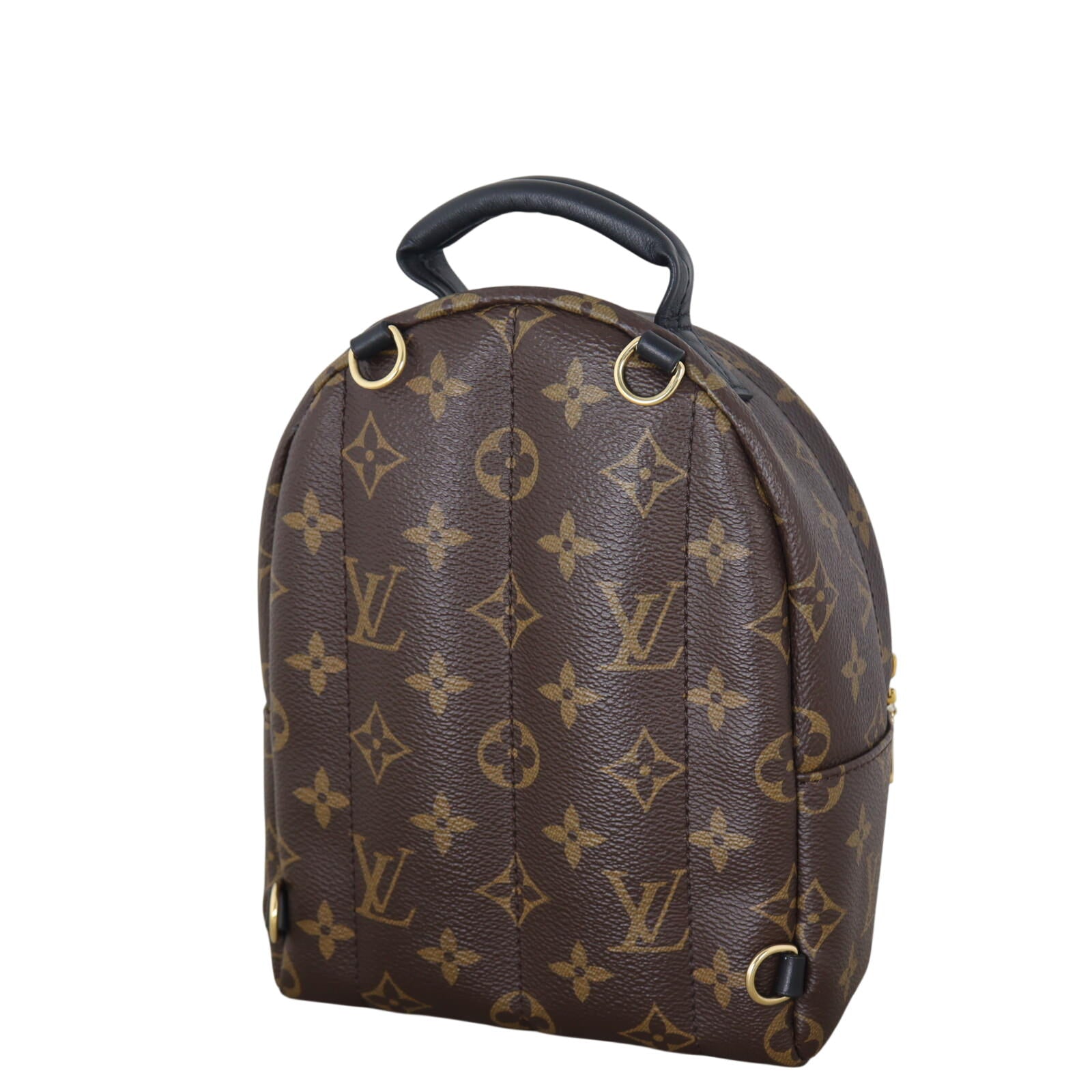 Louis Vuitton Palm Springs Mini Backpack Monogram_IMG_3232.jpeg