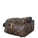 Louis Vuitton Palm Springs Mini Backpack Monogram_IMG_3233.jpeg