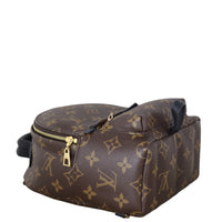 Louis Vuitton Palm Springs Mini Backpack Monogram_IMG_3233.jpeg