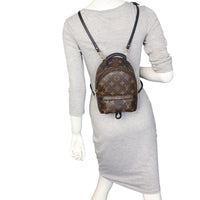 Louis Vuitton Palm Springs Mini Backpack Monogram_IMG_3323.jpeg