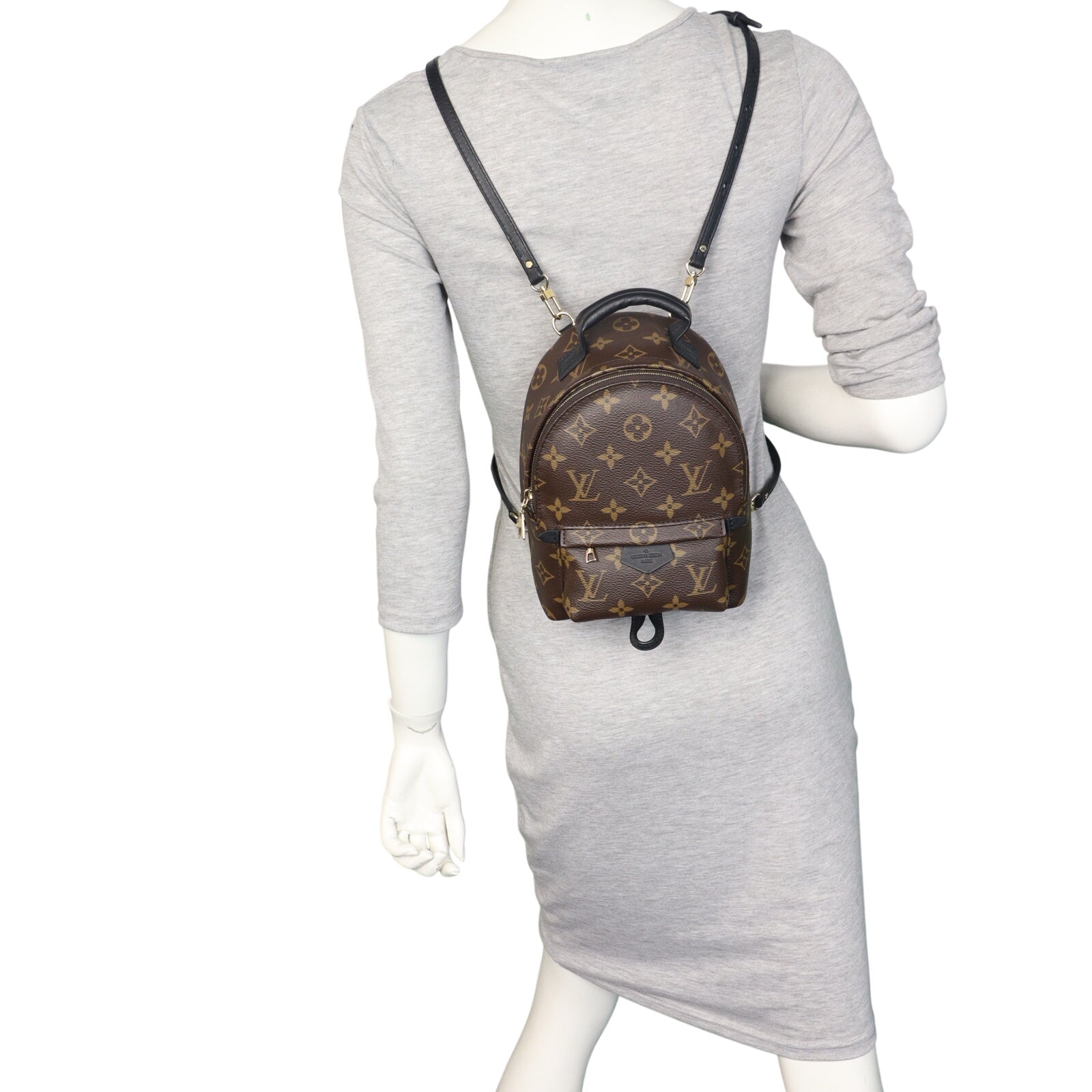 Louis Vuitton Palm Springs Mini Backpack Monogram_IMG_3323.jpeg