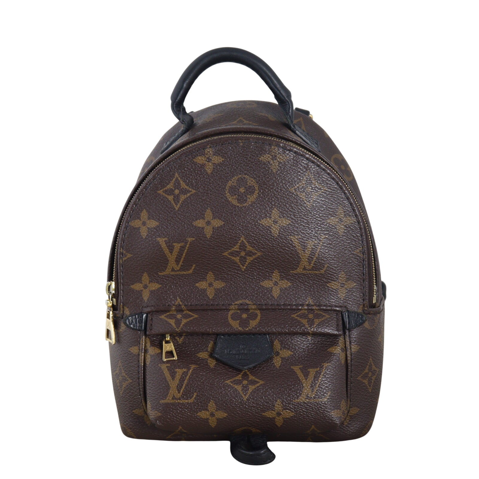 Louis Vuitton Palm Springs Mini Backpack Monogram_IMG_3500.jpeg
