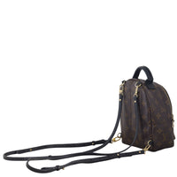 Louis Vuitton Palm Springs Mini Backpack Monogram_IMG_3502.jpeg