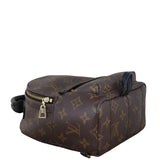 Louis Vuitton Palm Springs Mini Backpack Monogram_IMG_3503.jpeg