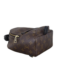 Louis Vuitton Palm Springs Mini Backpack Monogram_IMG_3503.jpeg