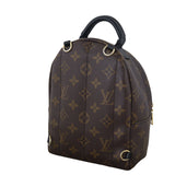 Louis Vuitton Palm Springs Mini Backpack Monogram_IMG_3504.jpeg