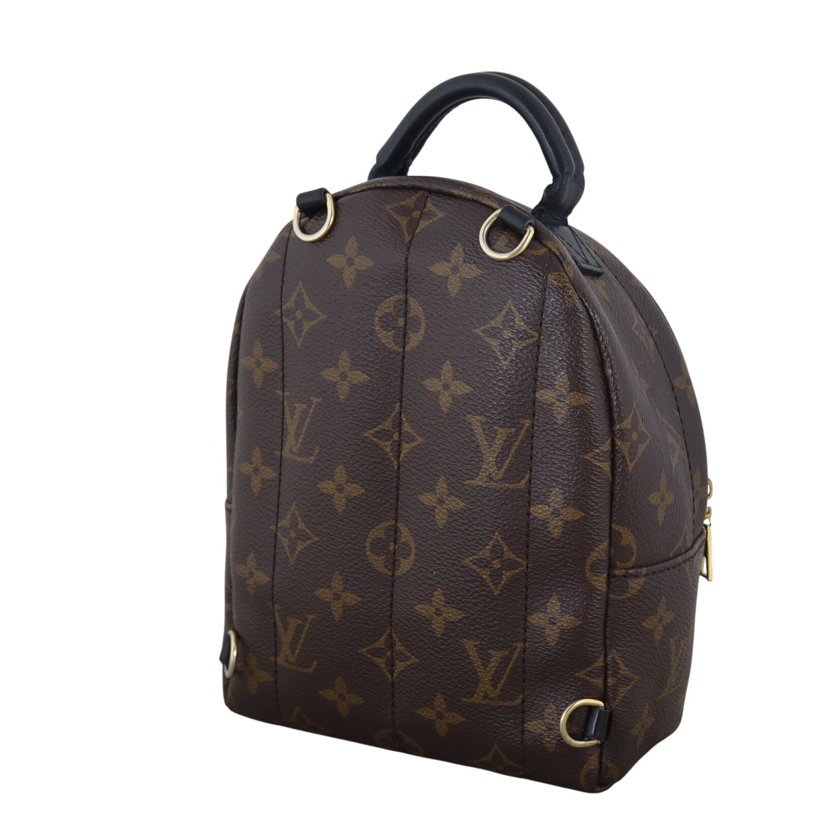 Louis Vuitton Palm Springs Mini Backpack Monogram_IMG_3504.jpeg