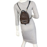 Louis Vuitton Palm Springs Mini Backpack Monogram_IMG_3712.jpeg