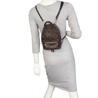 Louis Vuitton Palm Springs Mini Backpack Monogram_IMG_3712.jpeg