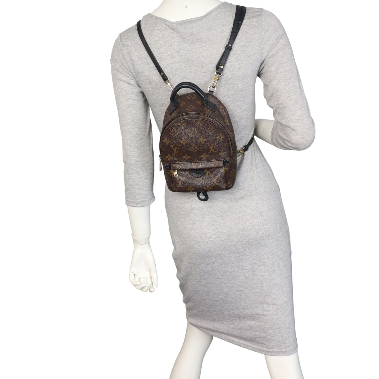 Louis Vuitton Palm Springs Mini Backpack Monogram_IMG_3712.jpeg