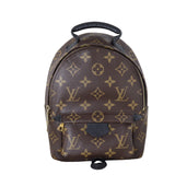Louis Vuitton Palm Springs Mini Backpack Monogram_IMG_6366.jpeg