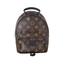 Louis Vuitton Palm Springs Mini Backpack Monogram_IMG_6366.jpeg
