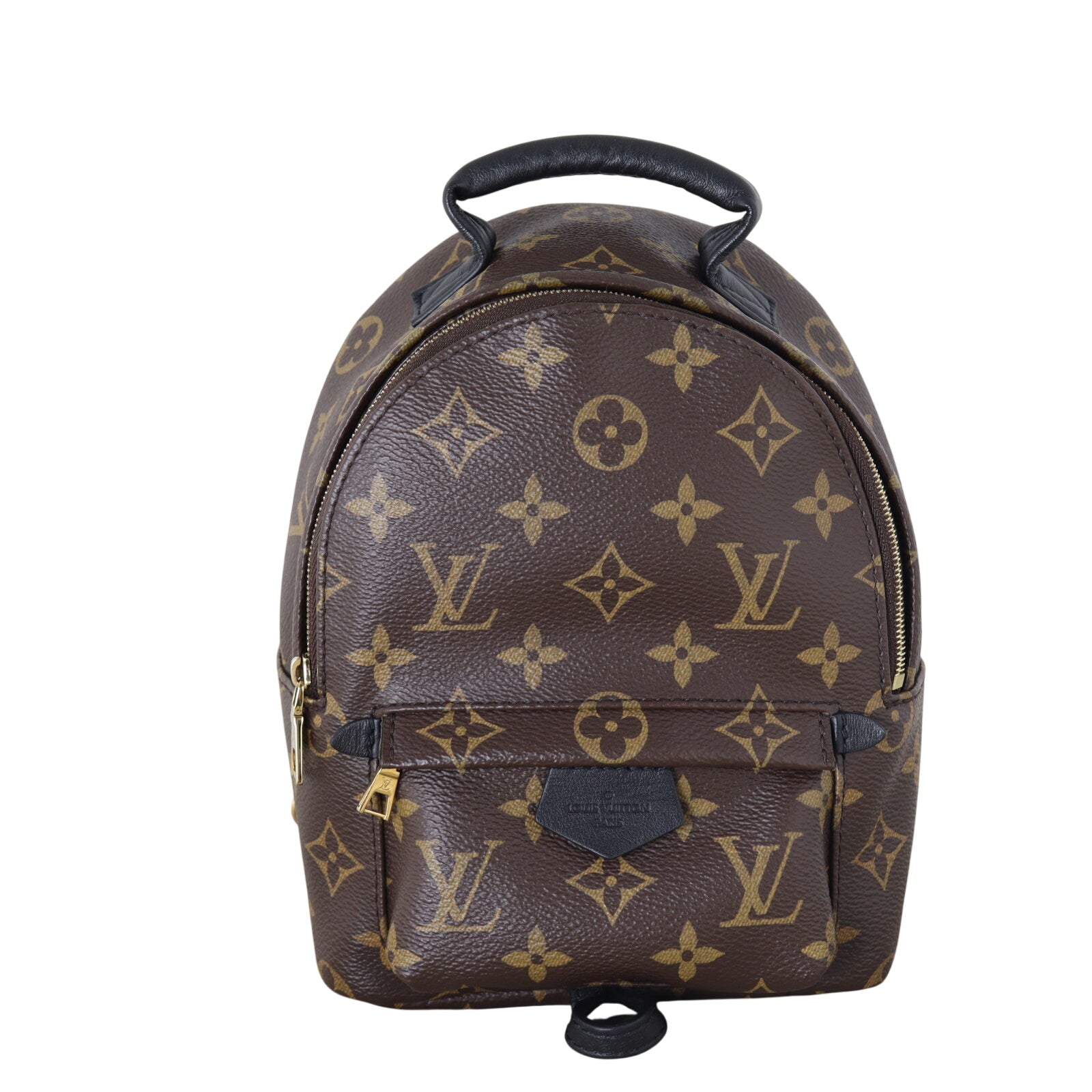 Louis Vuitton Palm Springs Mini Backpack Monogram_IMG_6366.jpeg