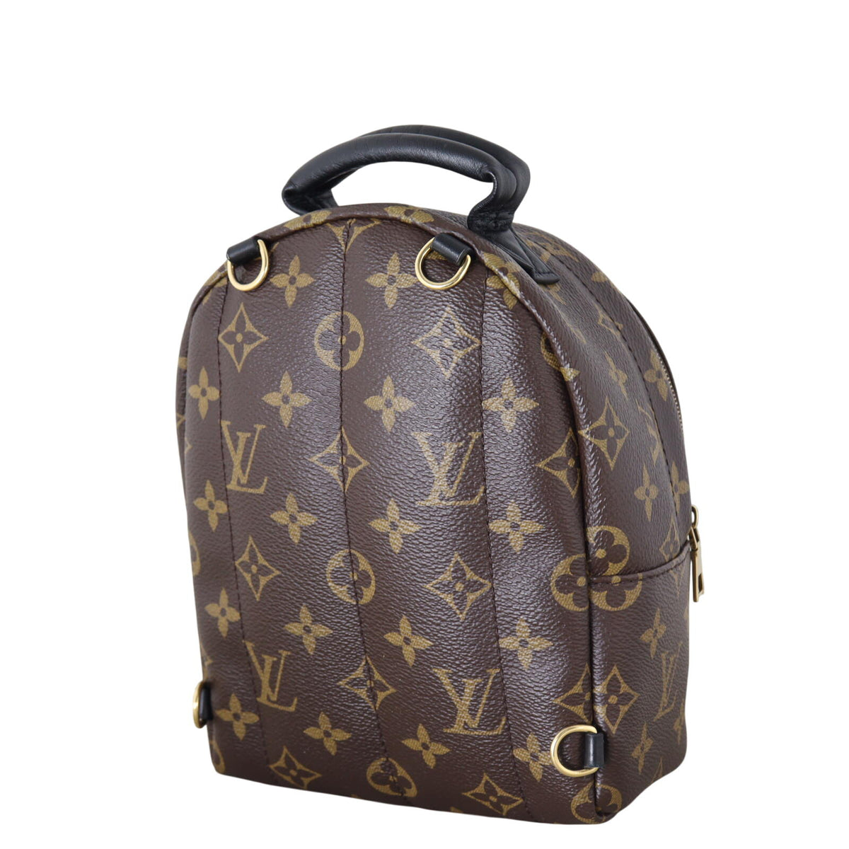 Louis Vuitton Palm Springs Mini Backpack Monogram_IMG_6368.jpeg