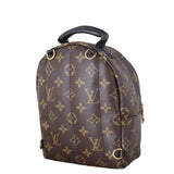 Louis Vuitton Palm Springs Mini Backpack Monogram_IMG_6368.jpeg