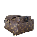Louis Vuitton Palm Springs Mini Backpack Monogram_IMG_6369.jpeg