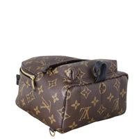 Louis Vuitton Palm Springs Mini Backpack Monogram_IMG_6369.jpeg