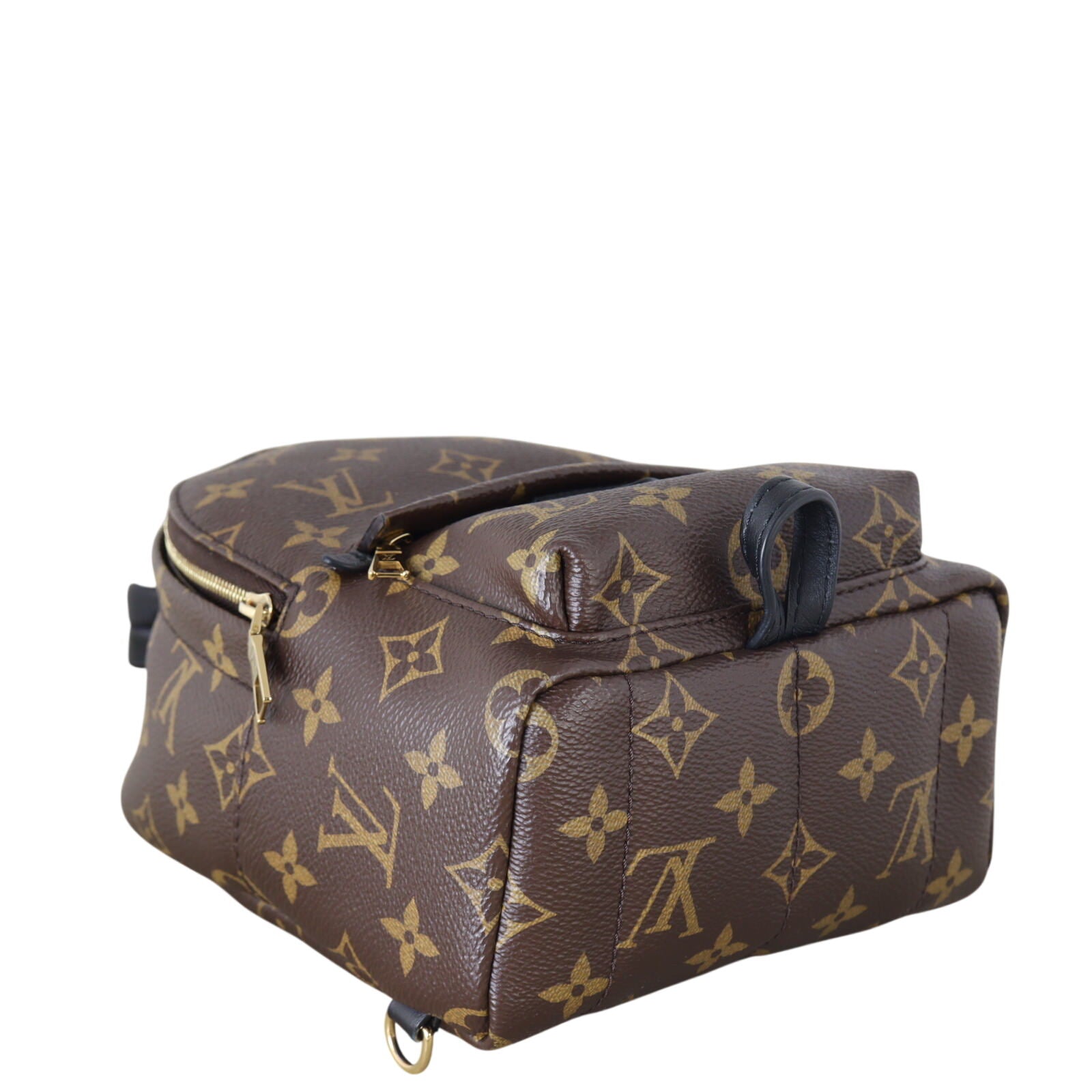 Louis Vuitton Palm Springs Mini Backpack Monogram_IMG_6369.jpeg