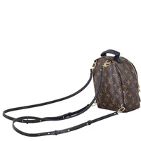 Louis Vuitton Palm Springs Mini Backpack Monogram_IMG_6372.jpeg