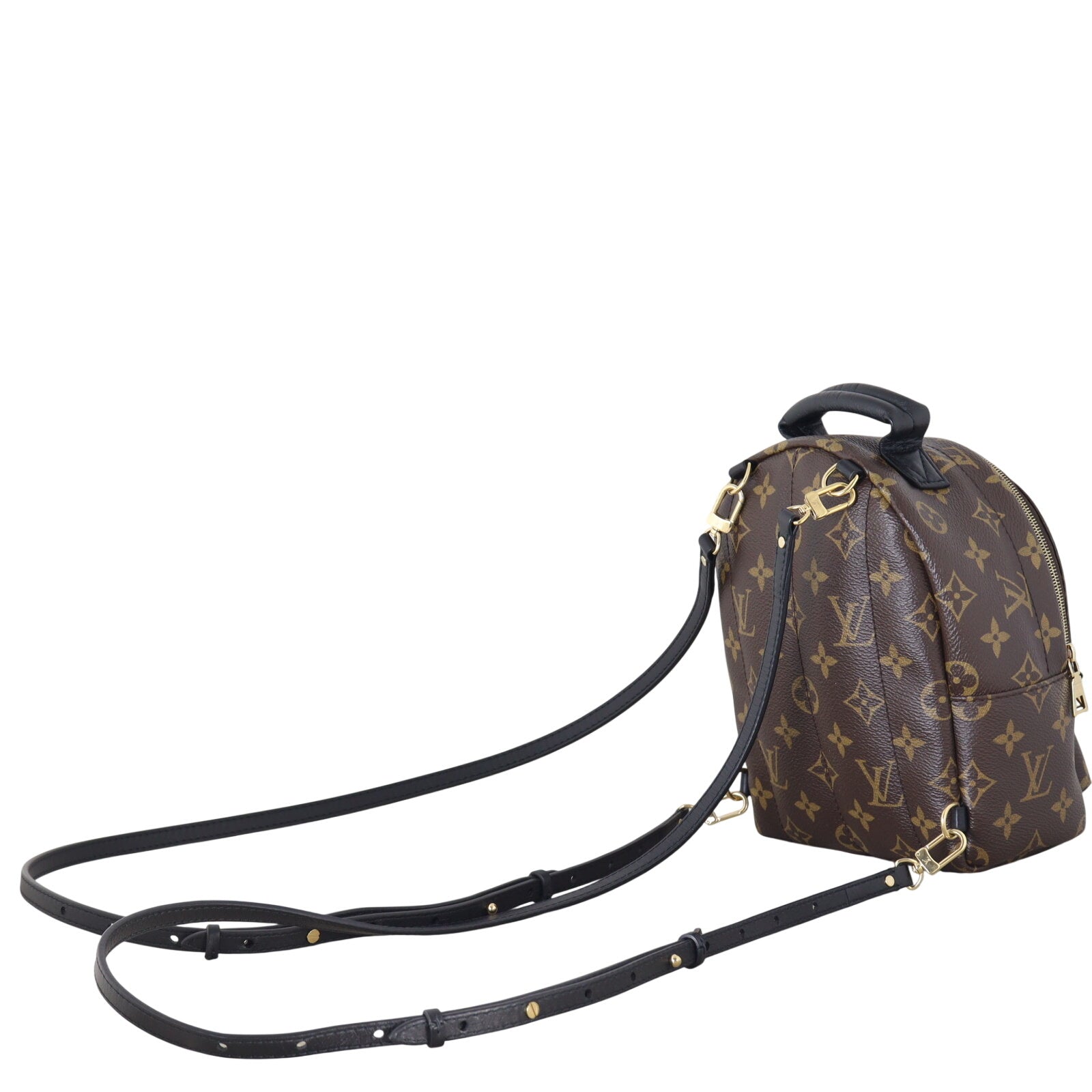 Louis Vuitton Palm Springs Mini Backpack Monogram_IMG_6372.jpeg