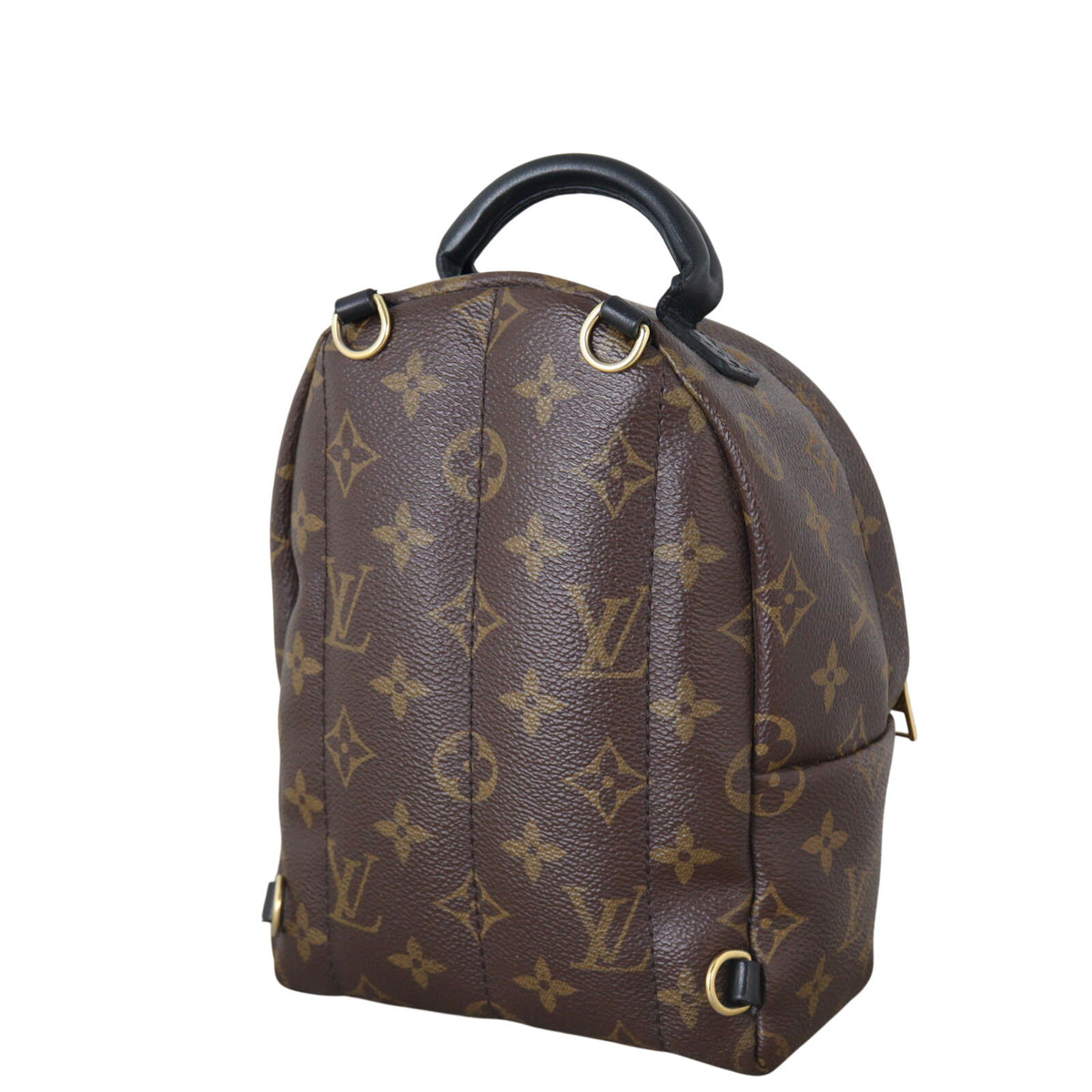 Louis Vuitton Palm Springs Mini Backpack Monogram_IMG_6442.jpeg