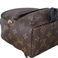 Louis Vuitton Palm Springs Mini Backpack Monogram_IMG_6444.jpeg