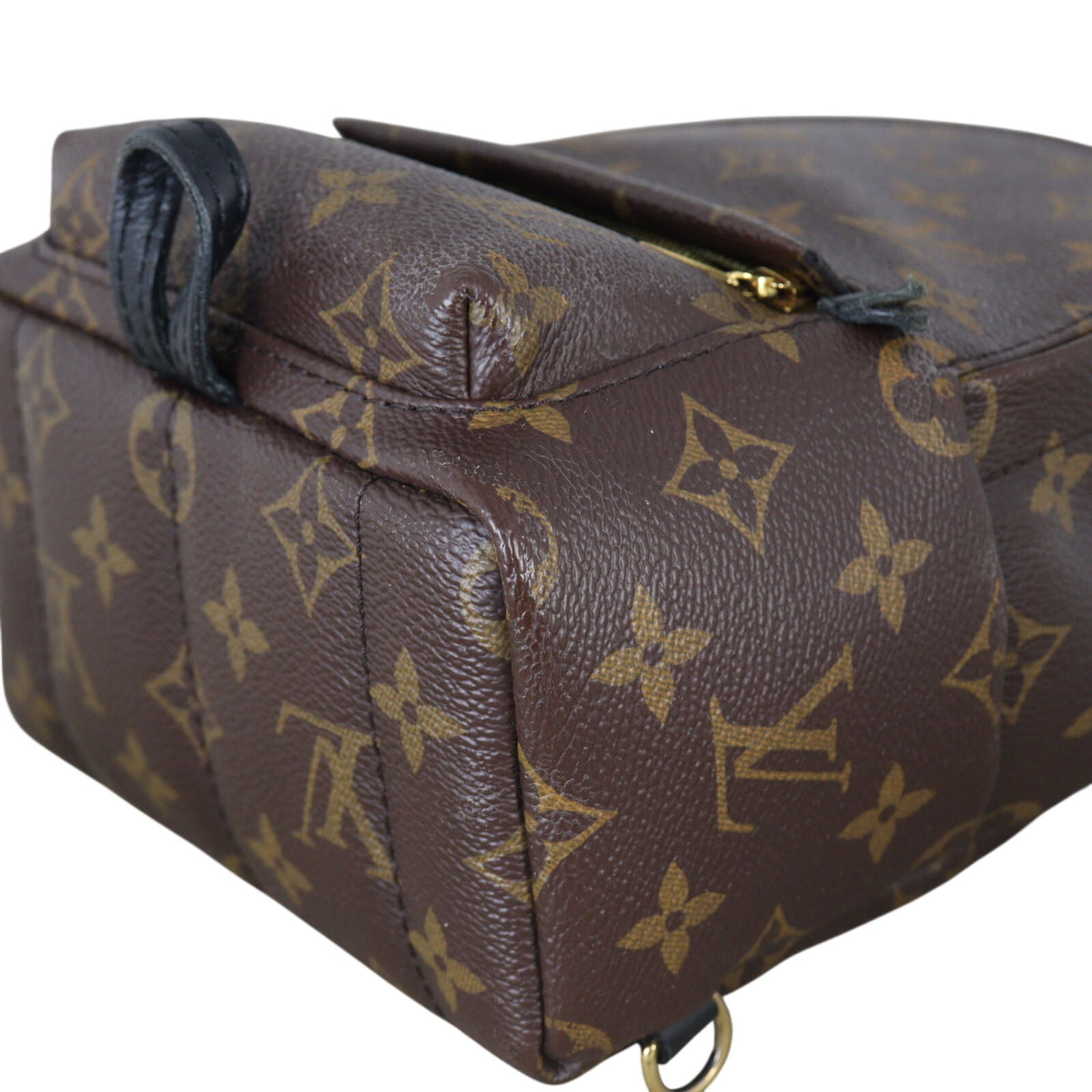Louis Vuitton Palm Springs Mini Backpack Monogram_IMG_6445.jpeg