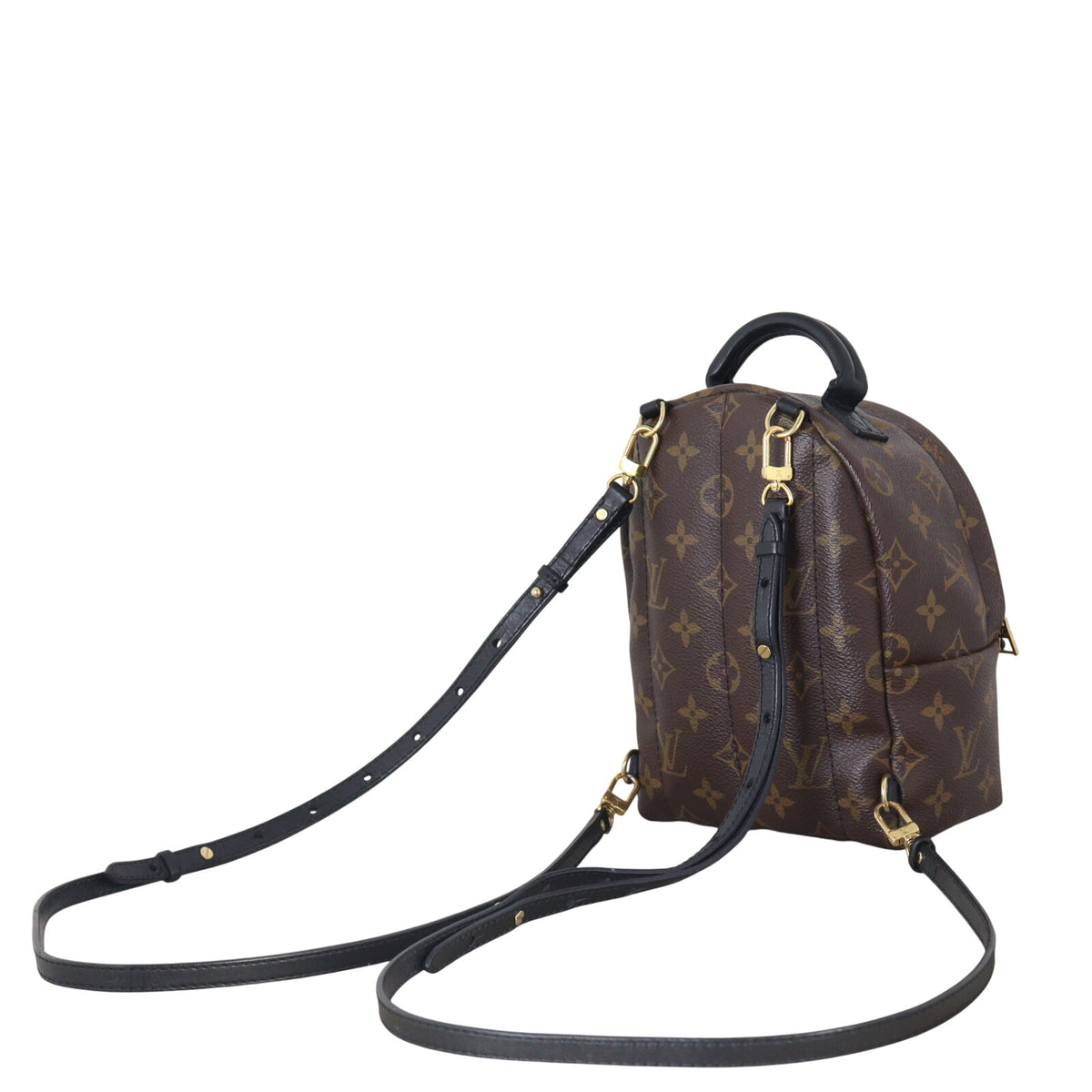 Louis Vuitton Palm Springs Mini Backpack Monogram_IMG_6446.jpeg