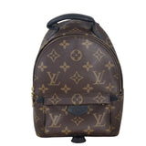 Louis Vuitton Palm Springs Mini Backpack Monogram_IMG_6896.jpg
