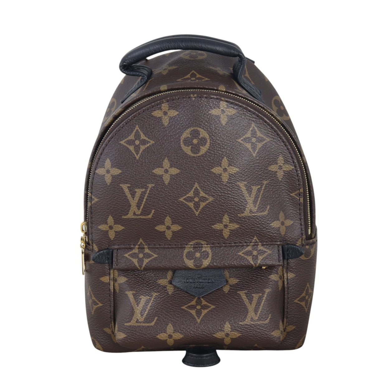 Louis Vuitton Palm Springs Mini Backpack Monogram_IMG_6896.jpg