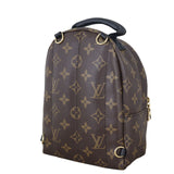 Louis Vuitton Palm Springs Mini Backpack Monogram_IMG_6897.jpeg