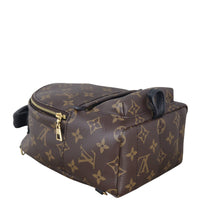 Louis Vuitton Palm Springs Mini Backpack Monogram_IMG_6898.jpeg