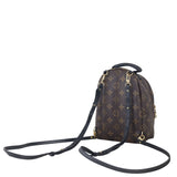 Louis Vuitton Palm Springs Mini Backpack Monogram_IMG_6902.jpeg