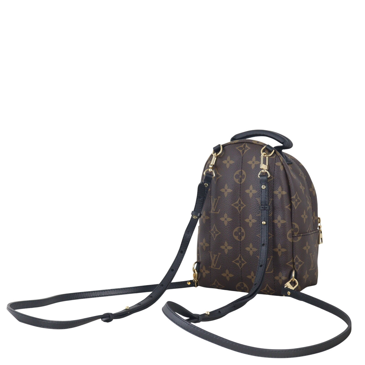 Louis Vuitton Palm Springs Mini Backpack Monogram_IMG_6902.jpeg