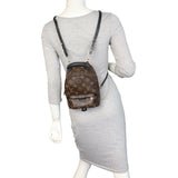 Louis Vuitton Palm Springs Mini Backpack Monogram_IMG_6911.jpeg