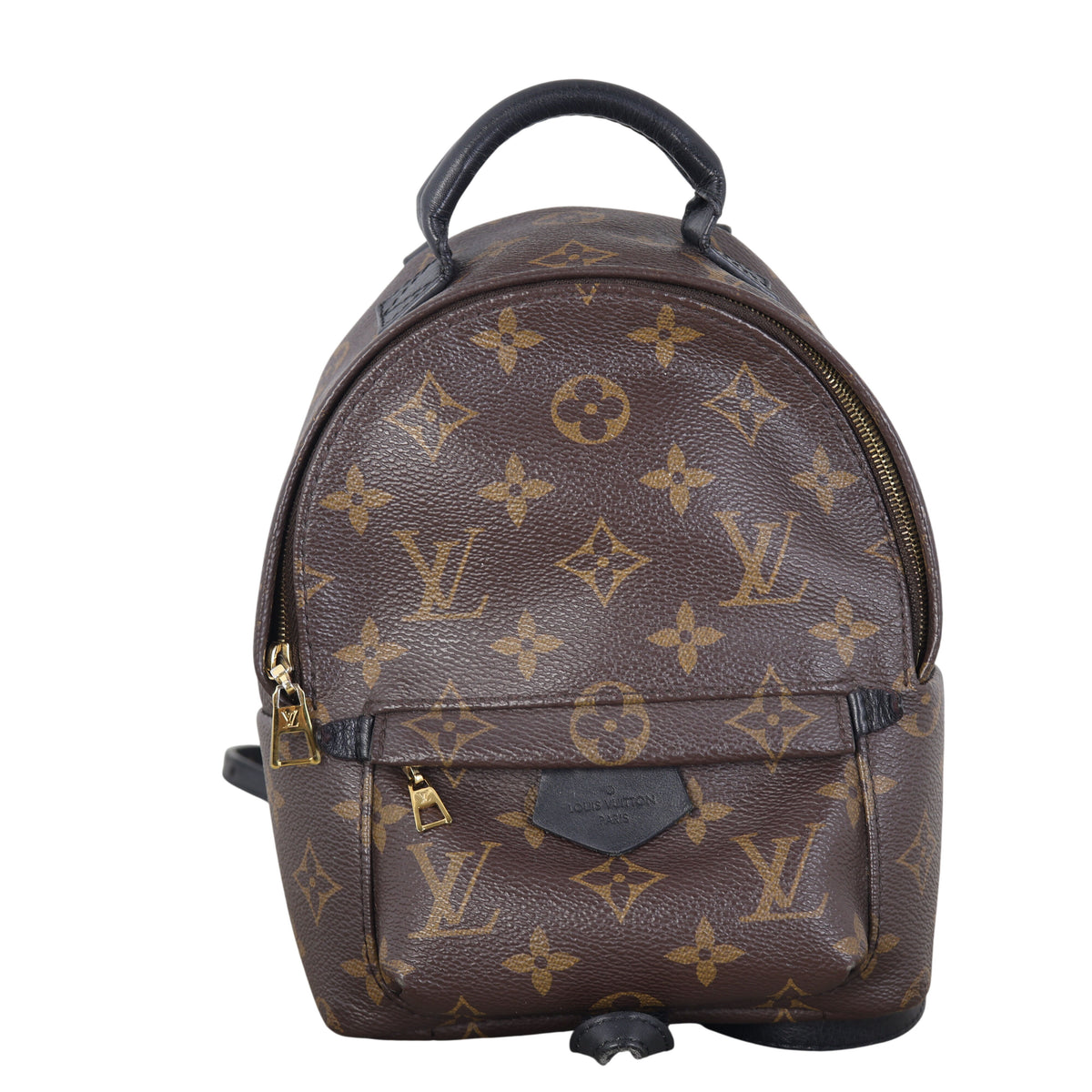 Louis Vuitton Palm Springs Mini Backpack Monogram_IMG_7740.jpeg