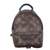 Louis Vuitton Palm Springs Mini Backpack Monogram_IMG_7740.jpeg