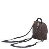 Louis Vuitton Palm Springs Mini Backpack Monogram_IMG_7741.jpeg