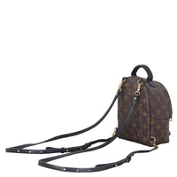 Louis Vuitton Palm Springs Mini Backpack Monogram_IMG_7741.jpeg